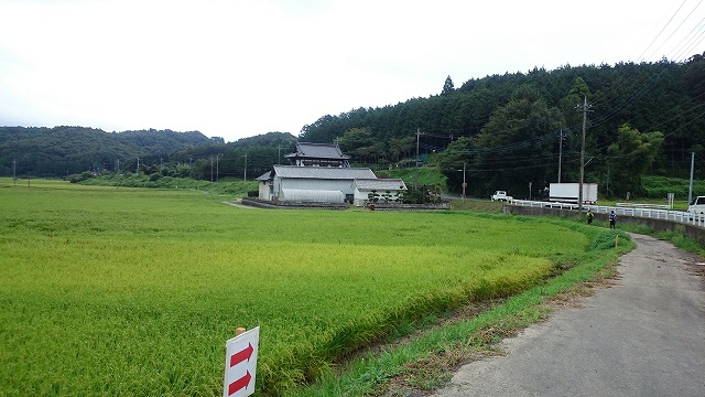 DSC_2879.jpg DSC_2879.jpg