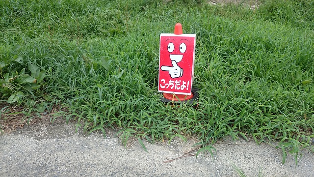 DSC_2885.jpg DSC_2885.jpg