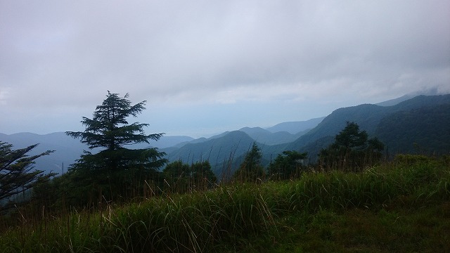 DSC_1822.jpg DSC_1822.jpg