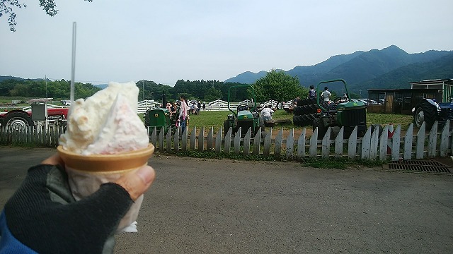 DSC_1016.jpg DSC_1016.jpg