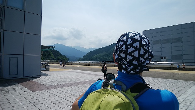 IMG_20170624_132303.jpg IMG_20170624_132303.jpg