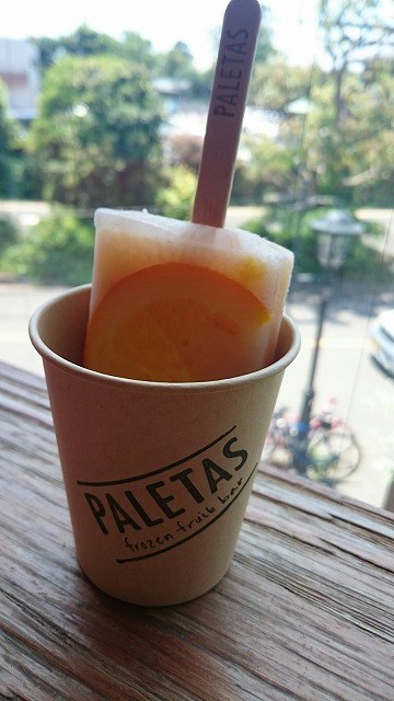 西村家訪問_8326.jpg 西村家訪問_8326.jpg