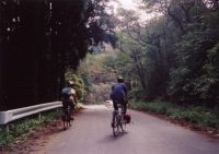 04923LUKEと足柄_.jpg 04923LUKEと足柄_.jpg