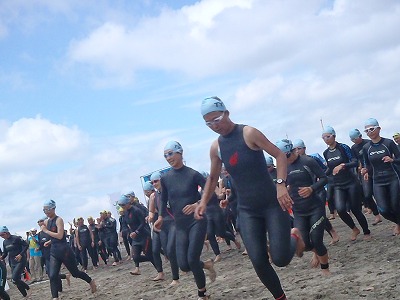 p7080446.jpg p7080446.jpg