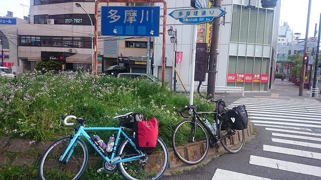 DSC_2459.jpg DSC_2459.jpg