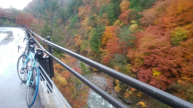 DSC_0970.jpg DSC_0970.jpg