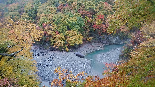 DSC_0986.jpg DSC_0986.jpg