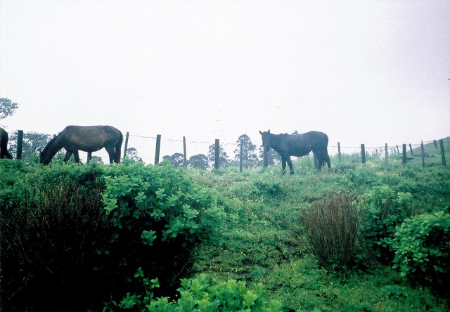 0501_0003.jpg 0501_0003.jpg