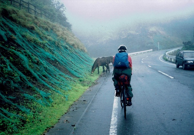 0501_0005.jpg 0501_0005.jpg