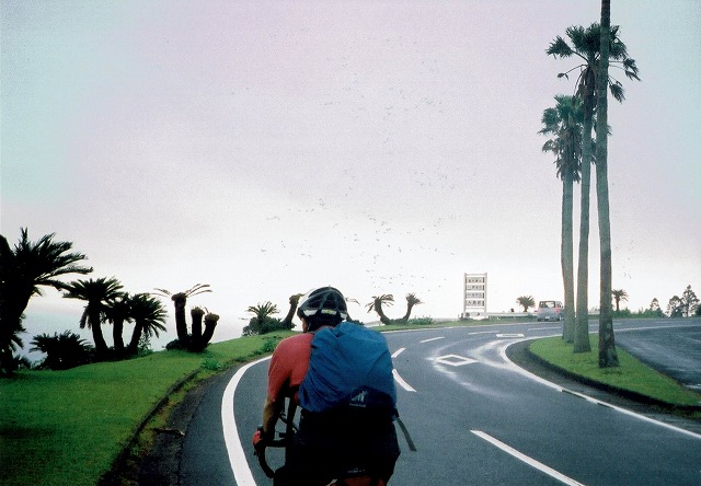 0501_0007.jpg 0501_0007.jpg