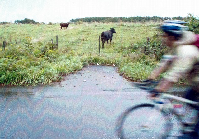 0916_0002.jpg 0916_0002.jpg