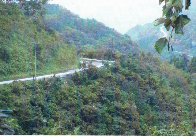 0917_0005.jpg 0917_0005.jpg