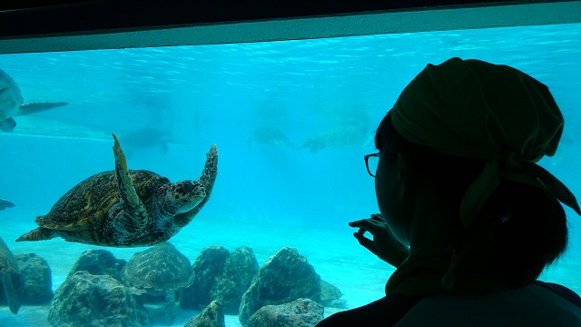 20150421155433DSC_0106.jpg 20150421155433DSC_0106.jpg