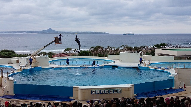 20150421161259DSC_1895.jpg 20150421161259DSC_1895.jpg