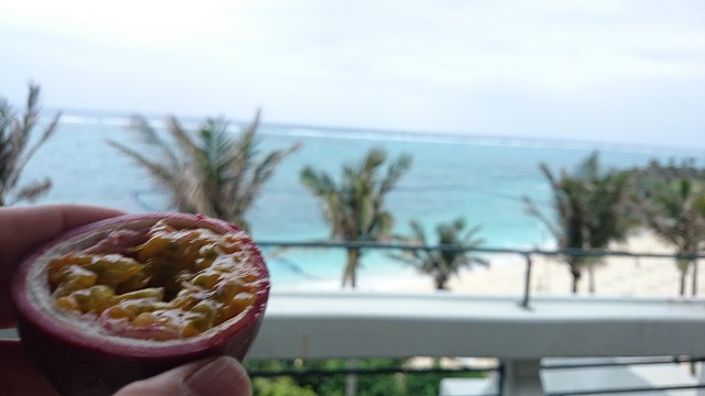 DSC_1860.jpg DSC_1860.jpg