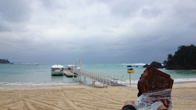 DSC_1866.jpg DSC_1866.jpg