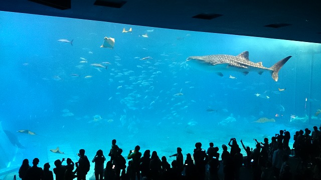 DSC_1881.jpg DSC_1881.jpg