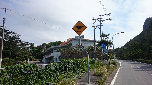 20150422152331DSC_0156.jpg 20150422152331DSC_0156.jpg