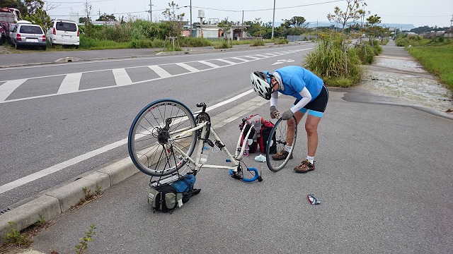 20150424112256DSC_0185.jpg 20150424112256DSC_0185.jpg