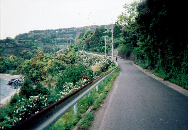 0426_0003.jpg 0426_0003.jpg