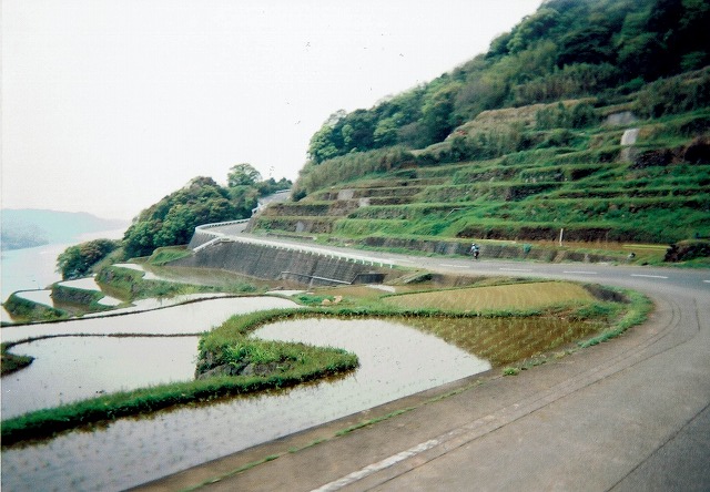 0429_0004.jpg 0429_0004.jpg