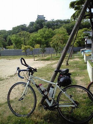 20090503-085006(145)2.jpg 20090503-085006(145)2.jpg