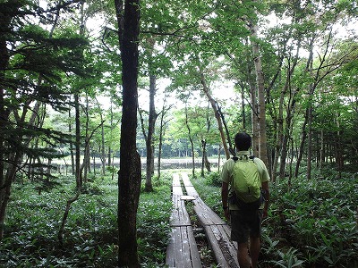 ca3j0320.jpg ca3j0320.jpg