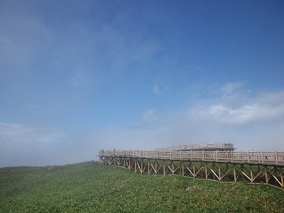 ca3j0346.jpg ca3j0346.jpg