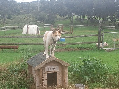 ca3j0421.jpg ca3j0421.jpg