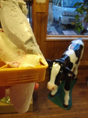 ca3j0176.jpg ca3j0176.jpg