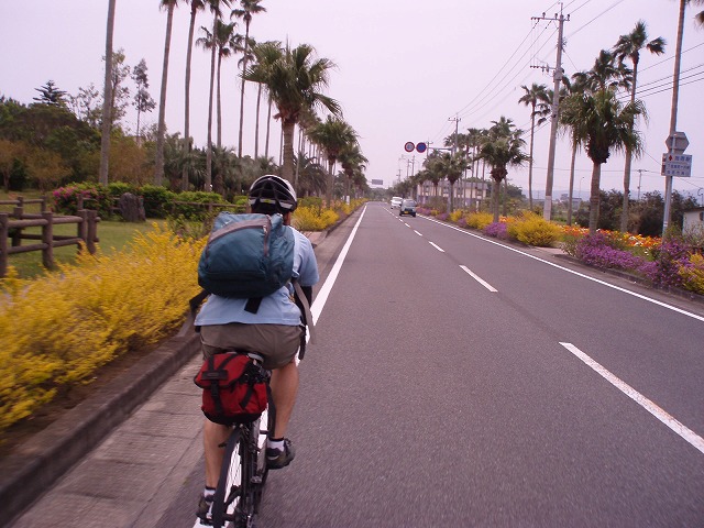 20080428_114438.jpg 20080428_114438.jpg