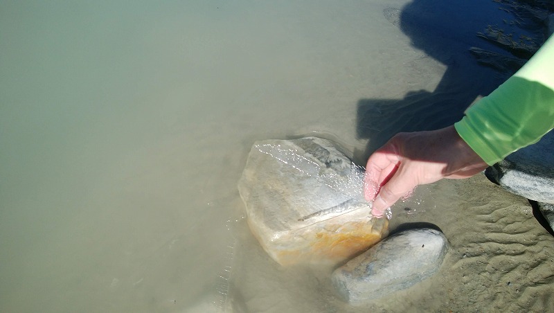 DSC_1424.jpg DSC_1424.jpg