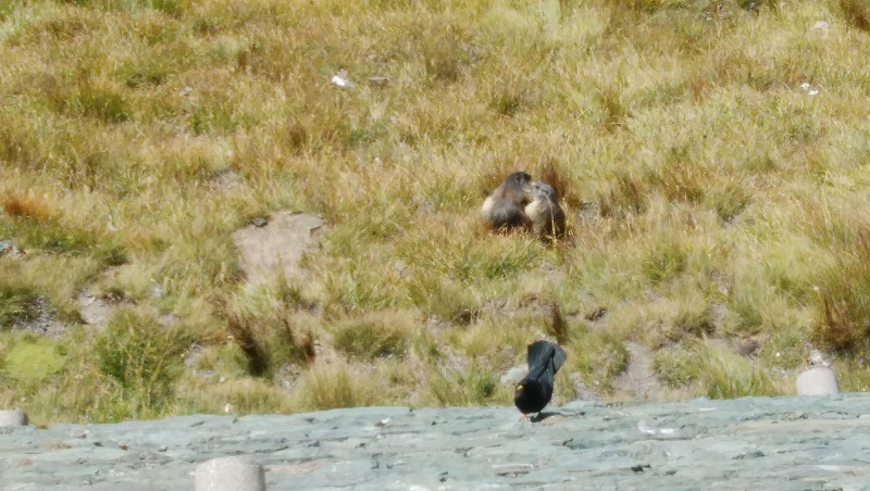 DSC_1440.jpg DSC_1440.jpg