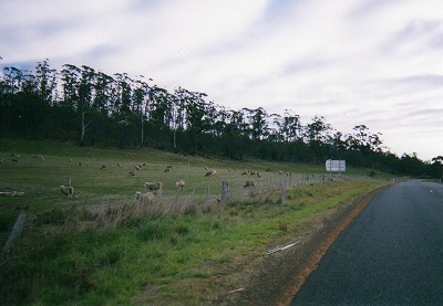 Ｔasmania Ｔouring0072.jpg