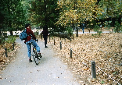 yosemite0042.jpg yosemite0042.jpg