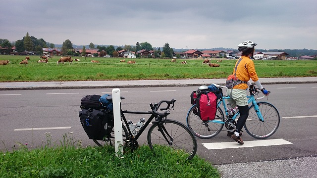 DSC_2432.jpg DSC_2432.jpg