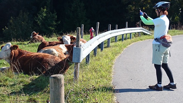 DSC_2474.jpg DSC_2474.jpg