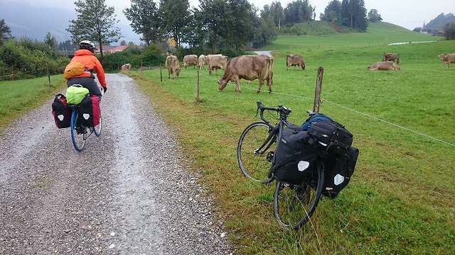 DSC_2314.jpg DSC_2314.jpg